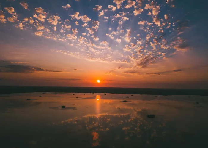 La Cabosse * ヴュー・ブコー・レ・バン