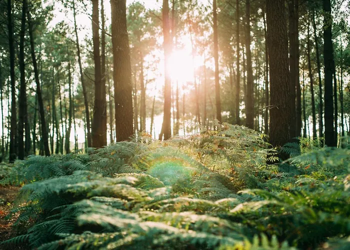 アパート La Cabosse *