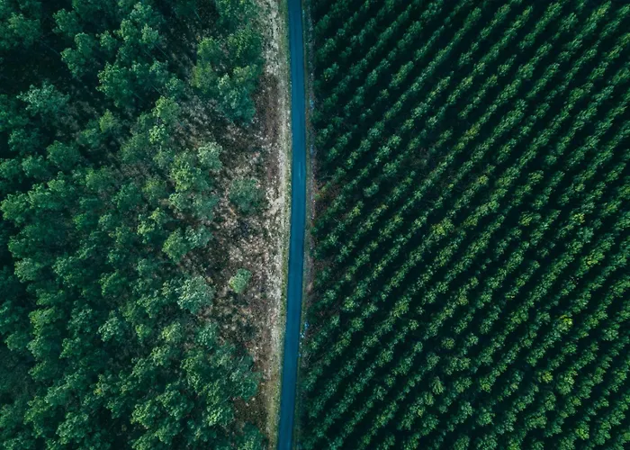 アパート La Cabosse ヴュー・ブコー・レ・バン