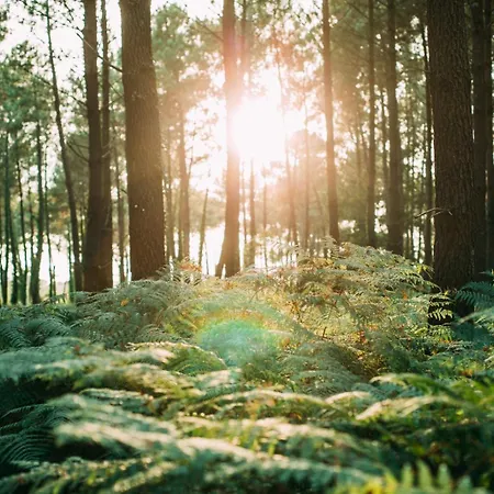 Appartamento La Cabosse *